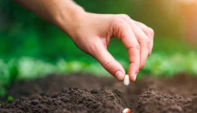 Fruta fresca en envases de papel, conciencia ecológica