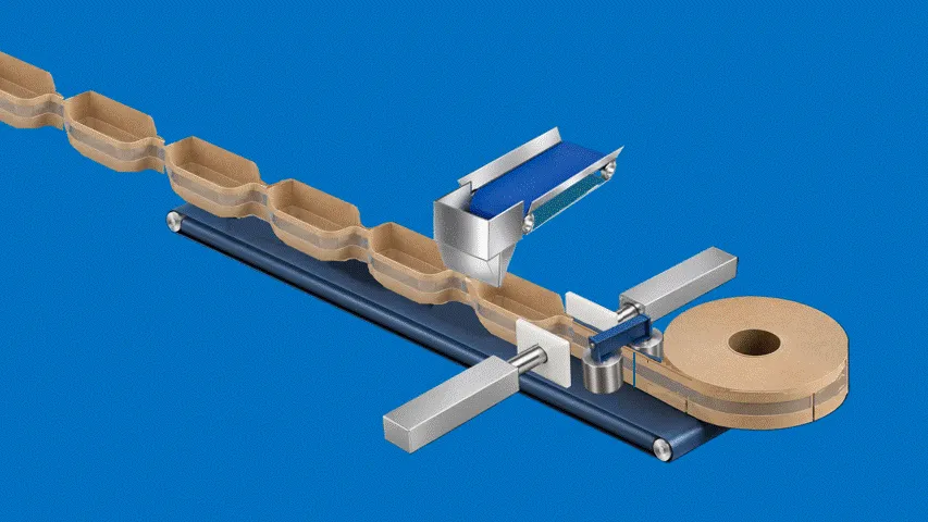 Envasado en línea con cesta BEEBASE kraft · Cierre