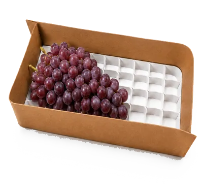 Bandeja BB Esquare rectangular, vista 1