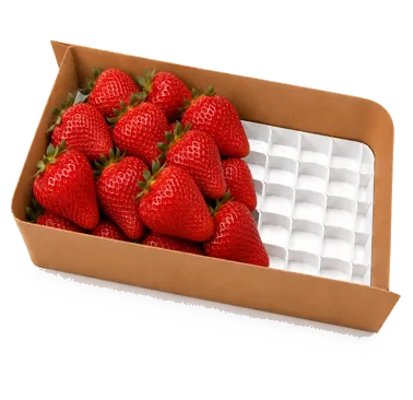 Bandeja BB Esquare rectangular, vista 3